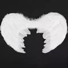 Alas Ángel Blancas de Plumas