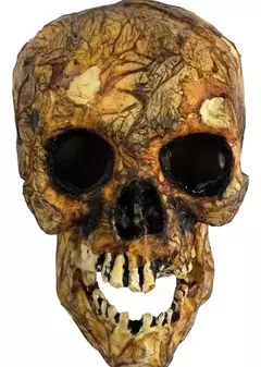 Calavera Antigua