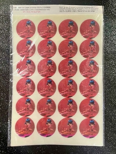Lamina Comestible Tazos LADYBUG MIRACULOUS