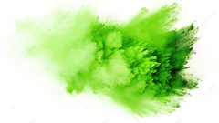 Polvos de Colores "Holifan" x 50 grs - tienda online