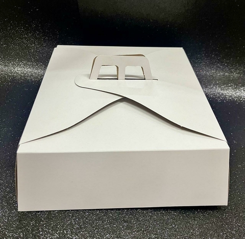 Caja Maletín 27x27x10