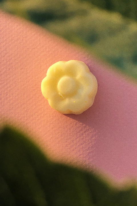 NORMALES/SECOS - Acondicionador (S) de Café