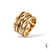 Anillo Vida en internet