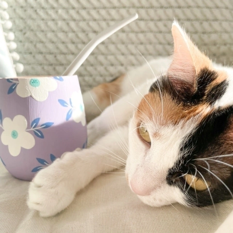 MATE ANDALASIA - POR ENCARGUE