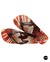 SURF (79292-0047)
