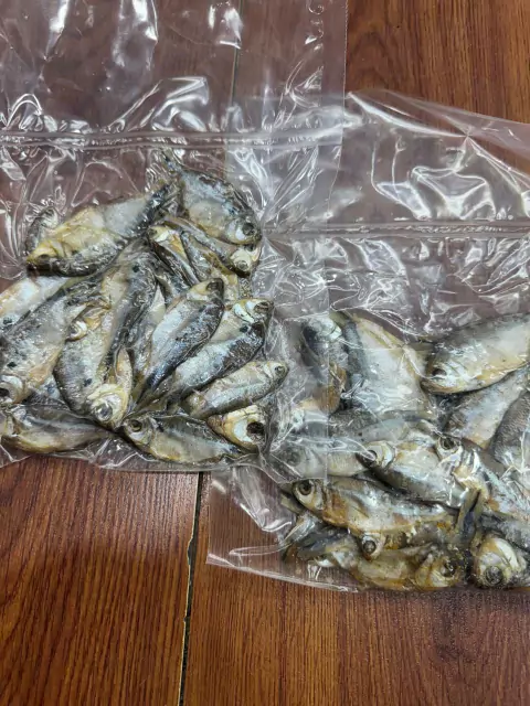 Carnada Embasada al vacio Mojarra para pesca variada