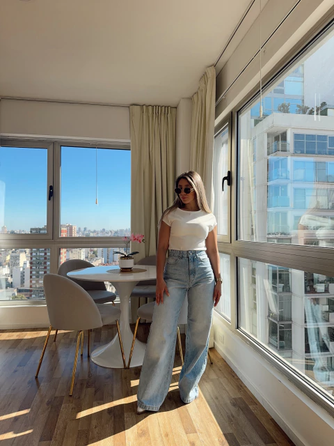 BLUSA TOP MANGUITAS VREELAND