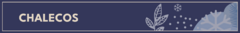 Banner da categoria CHALECOS