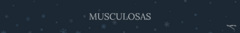 Banner de la categoría Musculosas