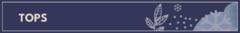 Banner da categoria TOPSS