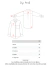 CAMISA LIVIA en internet