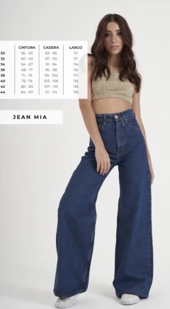 Jean MIA Azul R.A.D en internet