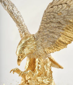 Arquétipo da Águia - 30cm - loja online