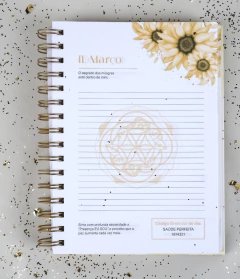 Agenda da Gratidão e Ativações na internet