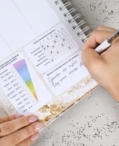 Imagem do Planner Ano Milionário + Técnicas