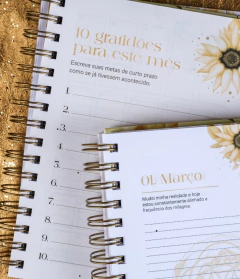 Agenda da Gratidão e Ativações