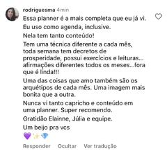 Planner Ano Milionário + Técnicas - comprar online