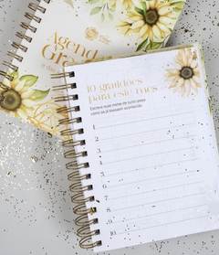 Agenda da Gratidão e Ativações - comprar online
