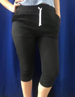 CAPRI 2743