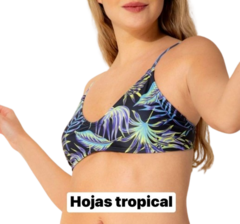 CORPIÑO 256
