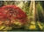 Puzzle Rompecabezas 1000 piezas Heye 29855 - comprar online