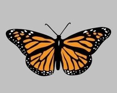 Banner de la categoría Buzos