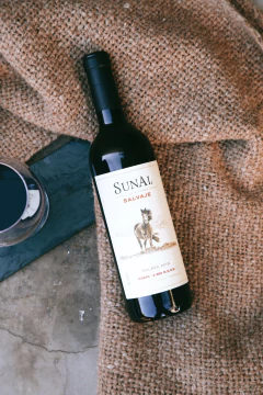 Caja x 6 SUNAL Salvaje Cachi Malbec 2021 (6 x 750ml) - Agustin Lanus Wines