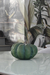 C1 Calabaza verde 16x25 - comprar online
