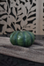 C1 Calabaza verde 16x25 - Loly Albasini