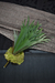C1 Hoja CUERNO ALCE 50h - comprar online