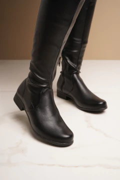 PALMER - BD en internet