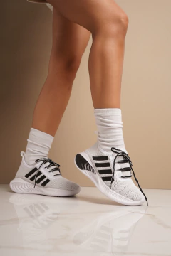 Imagen de REX - ART. P330