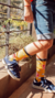 Imagen de MEDIAS INFANTILES DE ALGODON 351/352/353/354