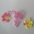 Flor de hibiscus (Moana) para confeitaria