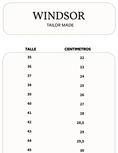 ZAPATO DE VESTIR en internet