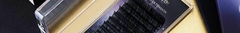 Banner de la categoría Gollee