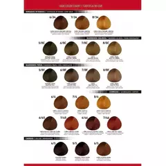 Tintura Fidelite Color Master