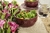 Bowls Corvina en internet