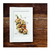 Platos Porcelana Oxford Rectangular Blanco - comprar online