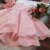 Vestido Rosa Borboletas Peito na internet