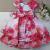 Vestido de Festa Floral Vermelho - Loja Pimpolho