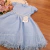 Vestido Azul Claro Princesa na internet