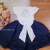 Vestido Azul Marinho - Loja Pimpolho