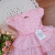 Vestido Babador Princesa na internet