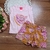Conjunto Rosa Banana
