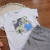 Conjunto Menino Branco Dinossauro na internet