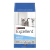 Excellent Gato adulto - comprar online