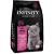 Infinity Kitten - comprar online