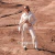 Banner de Tabatha jeans