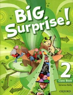 Big Surprise 2 Class Book